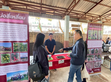 เข้าร่วมการประชุมเชื่อมโยงเจรจาซื้อขาย ส้มเขียวหวาน ... พารามิเตอร์รูปภาพ 7